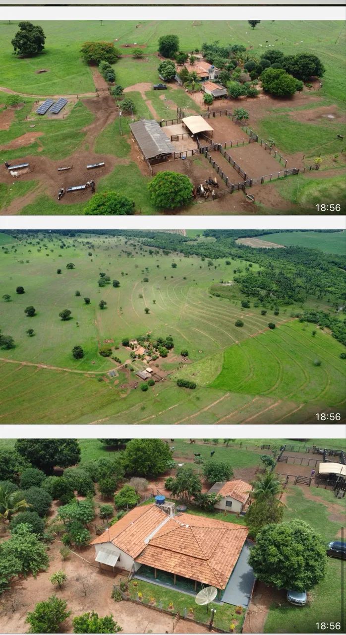 Fazenda dupla aptidão campina verde  - Foto 4