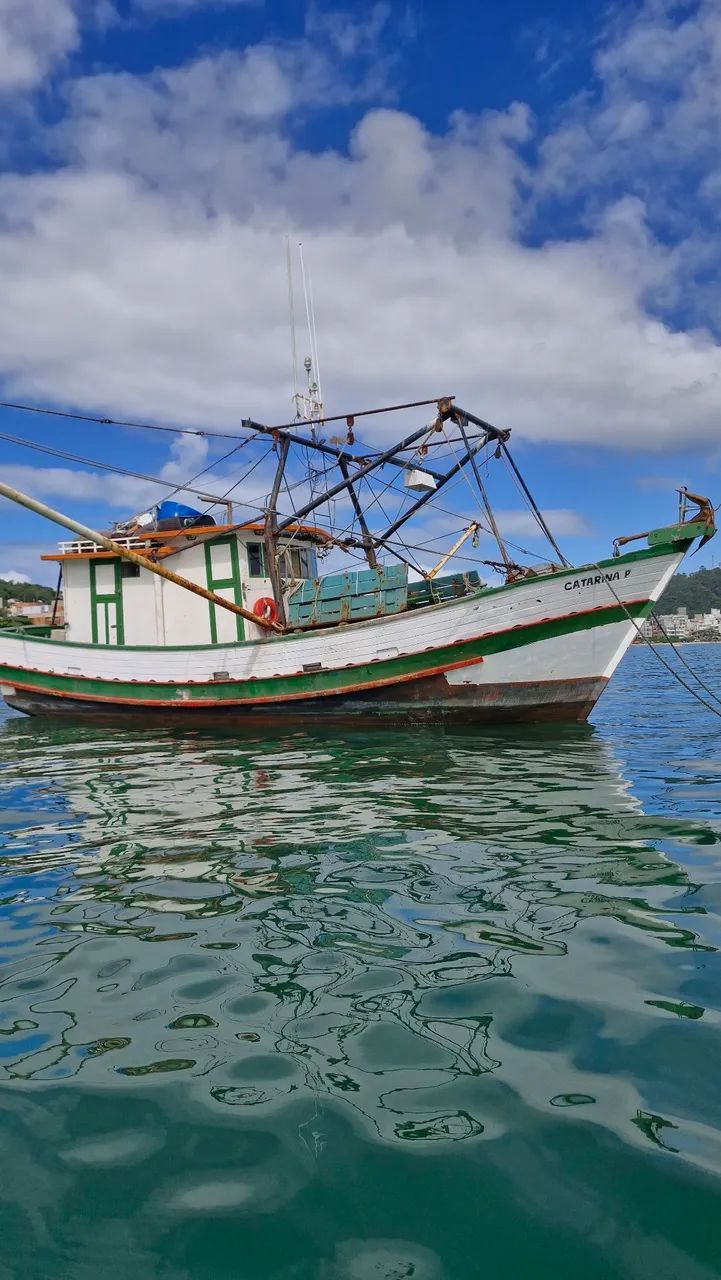 Barco bote baliera 