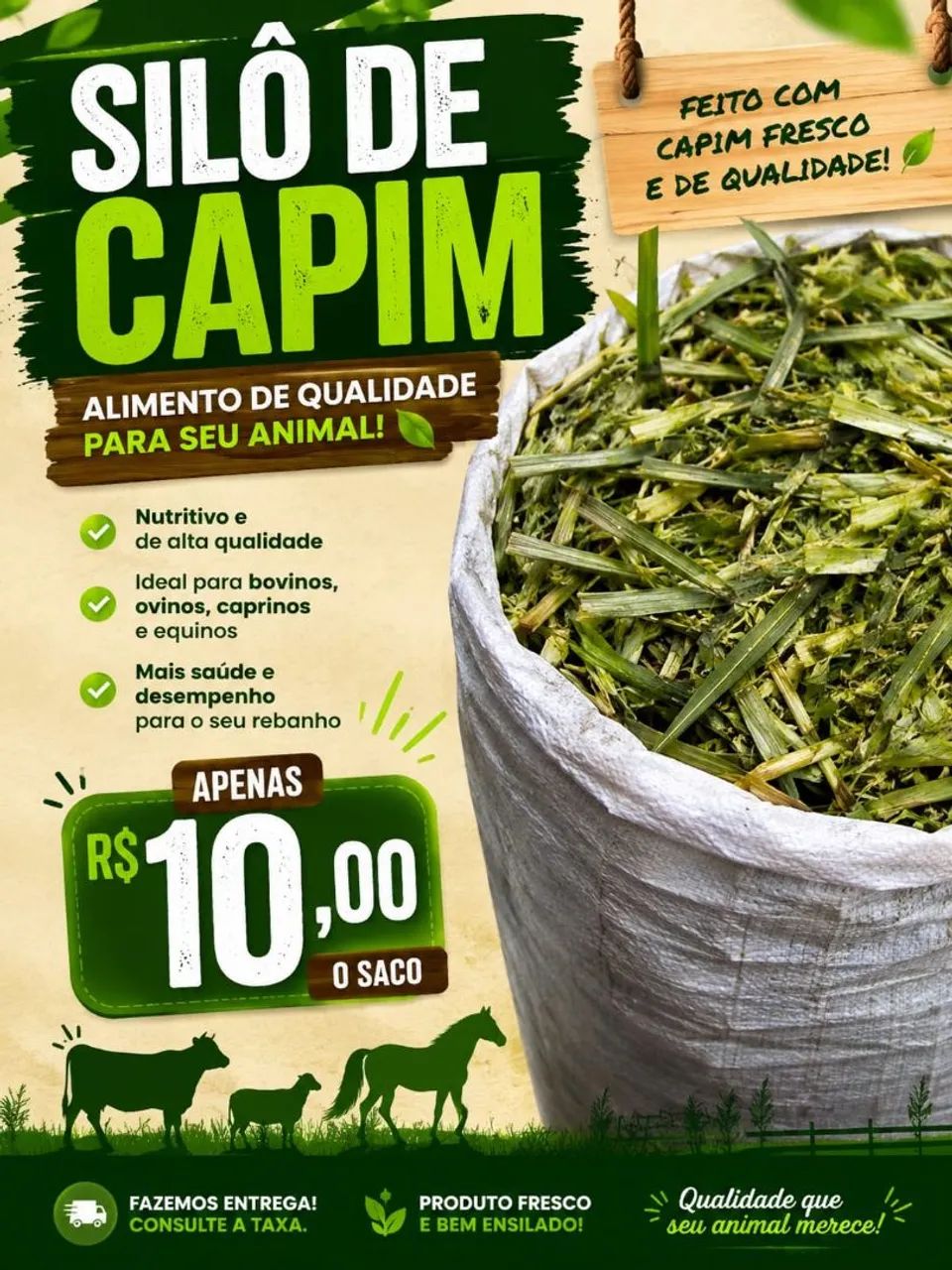 Silo de capim 10$$