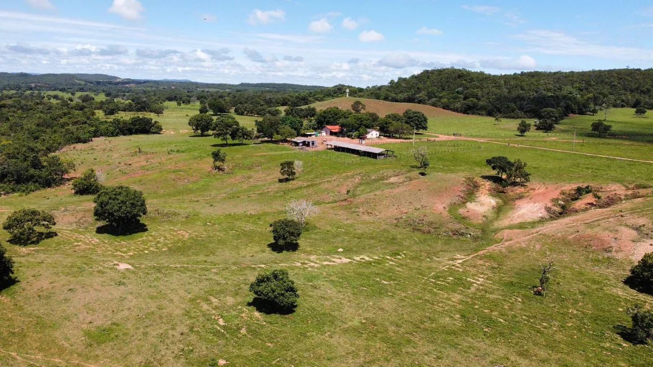 Fazenda a 37 km de Nova Xavantina - Foto 3