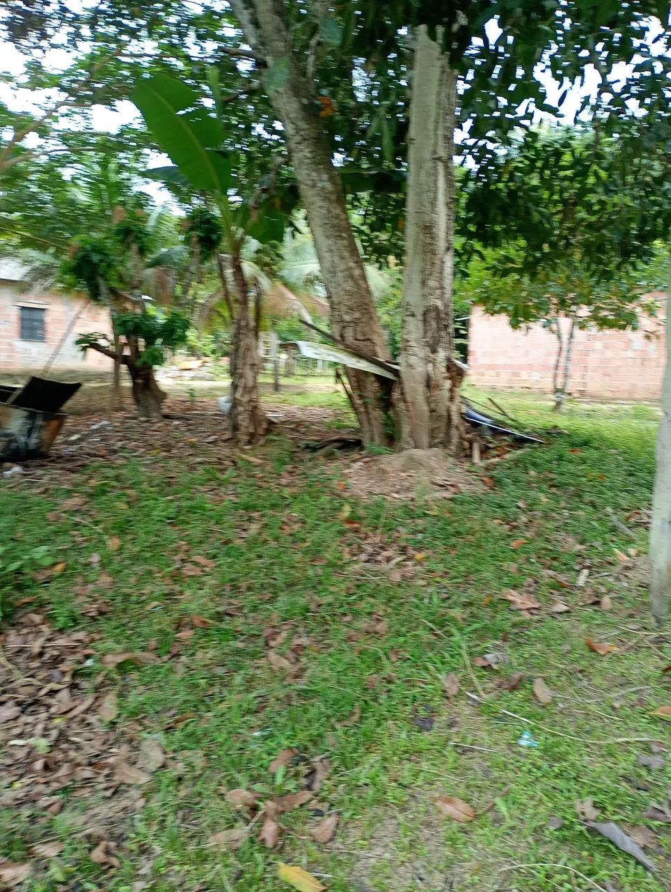 Casa em sitio - Foto 4