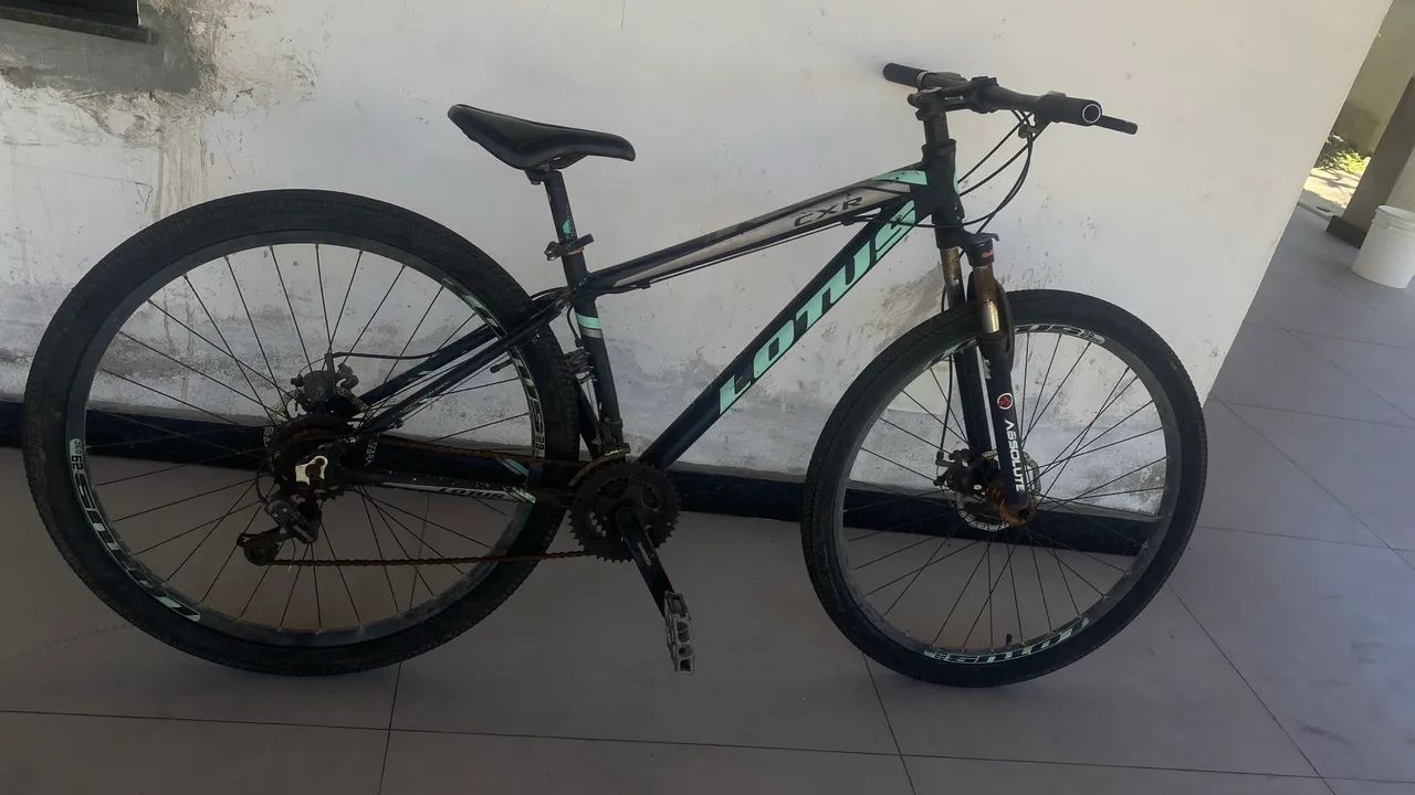 Bicicleta lótus aro 29