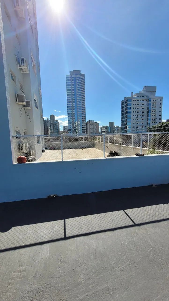 Foto - Tubarão - Recife
