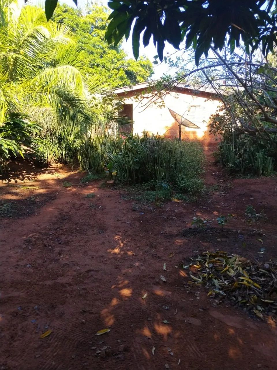 Vendo chácara. 25,5 hectares  - Foto 4
