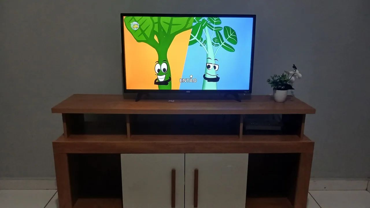 Tv smart 32 + rack