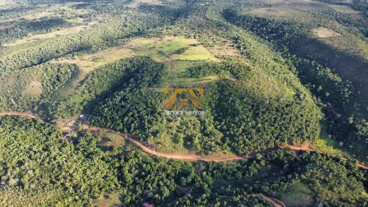 Fazenda com 10 Alqueires na Zona Rural de Palmas - Sentido Lajeado á 45 km do Centro - Foto 9