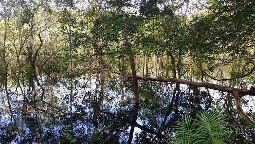 Chácaras Rústicas com acesso ao Rio Negro, parcelas Fixas de 550,00