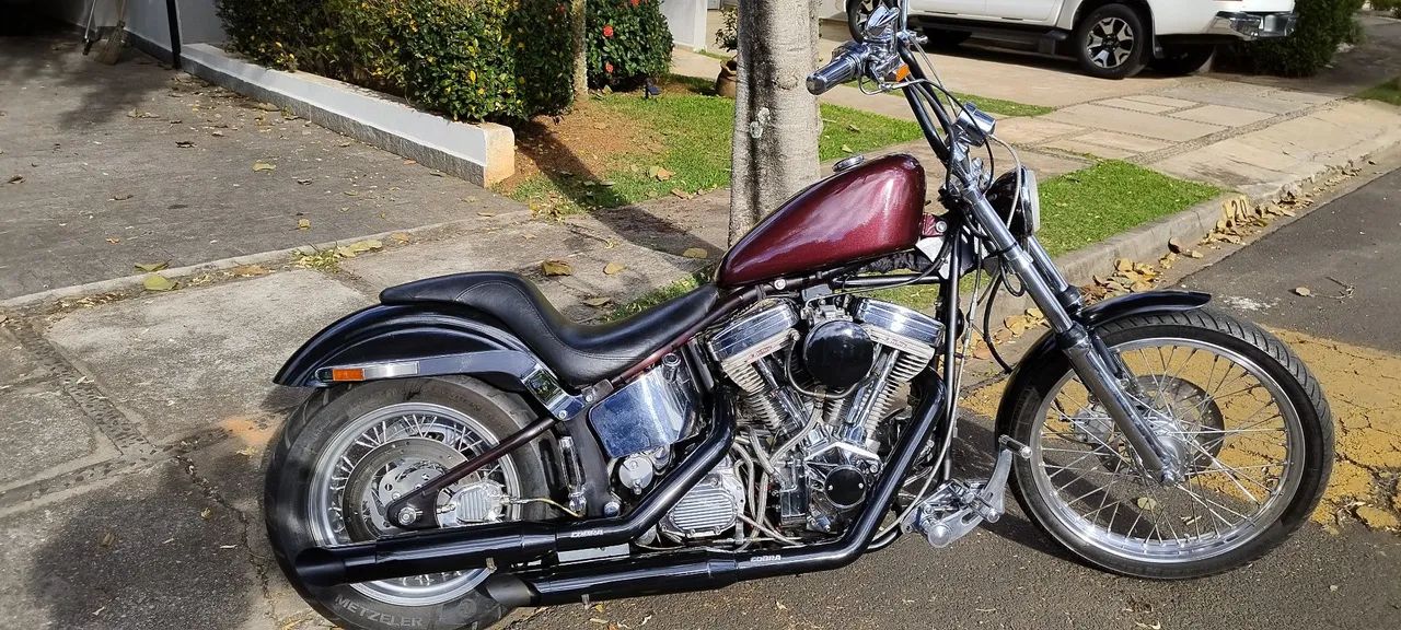 Harley Davidson Softail RevTech Carburada