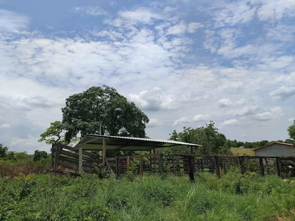 SÍTIO À VENDA EM FAINA - GO - Foto 3
