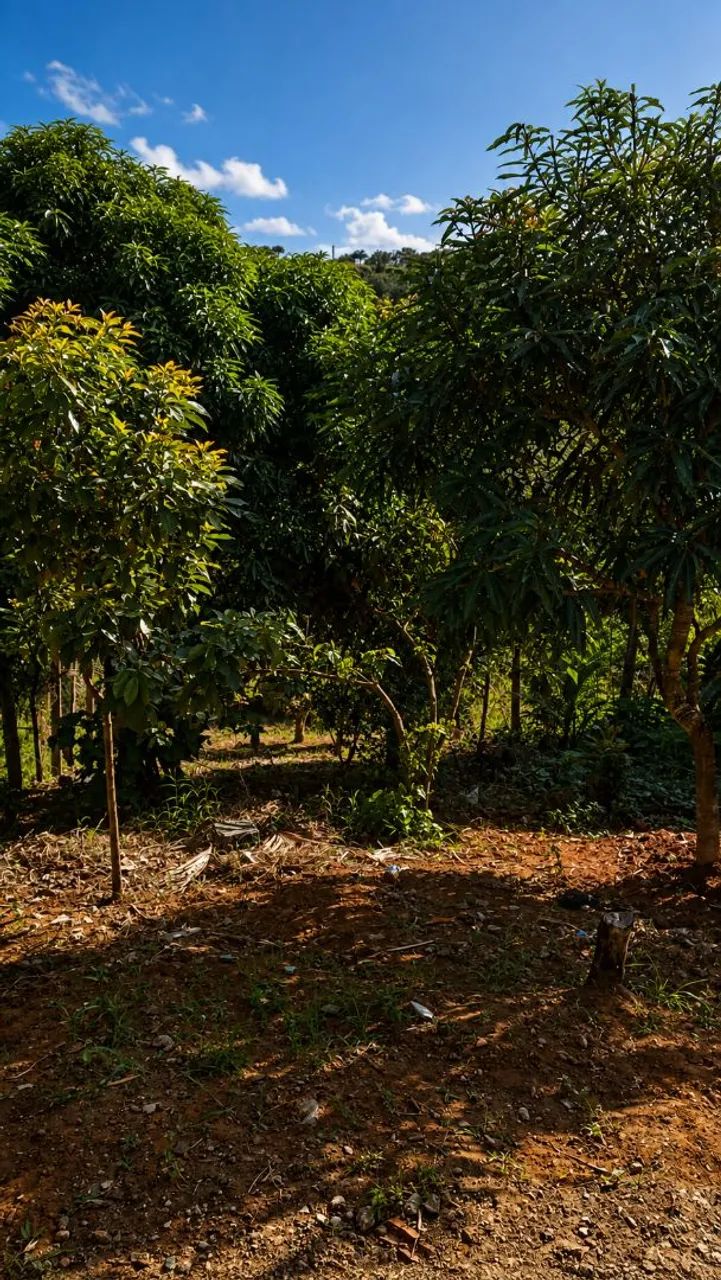 VENDE-SE - Foto 5