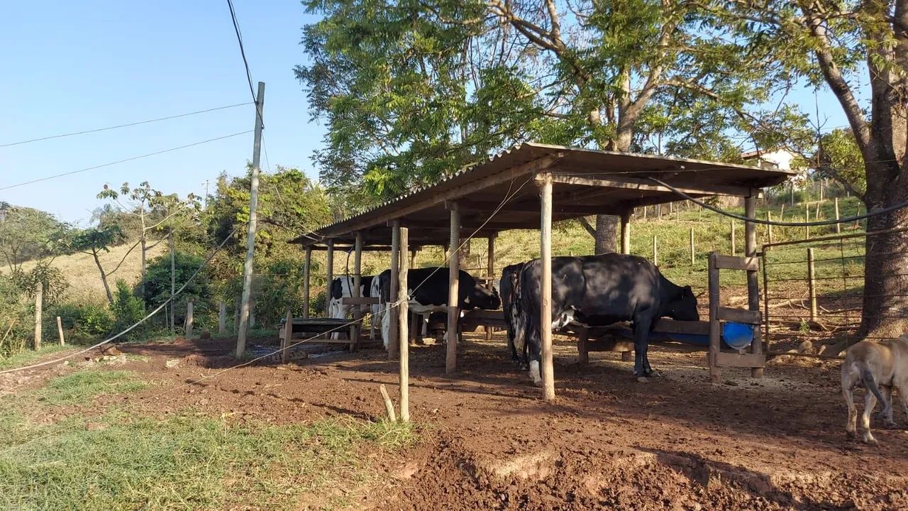 Fazenda Grotão a venda - Foto 5