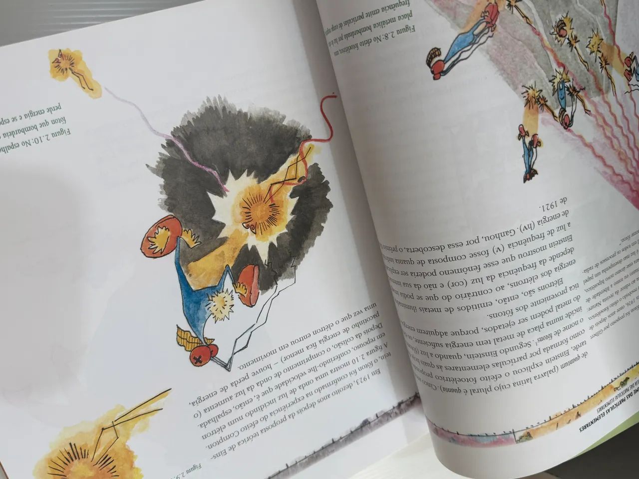 Livro O Discreto Charme das Partículas Elementares - Foto 2