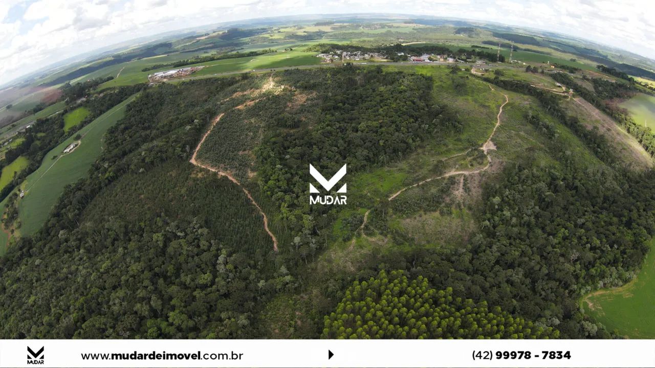 Área de frente pra BR 376 com 12 alqueires prox a Ambev - Foto 5