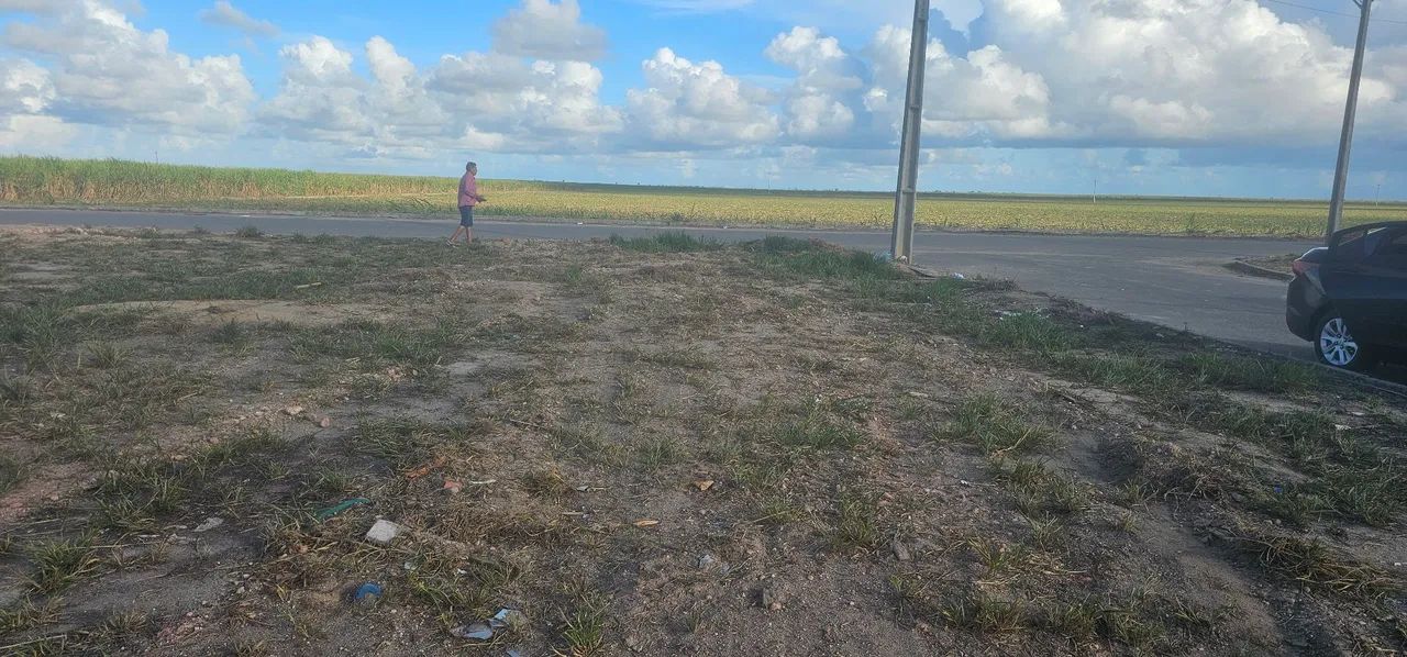 Terreno BURITI  - Foto 3