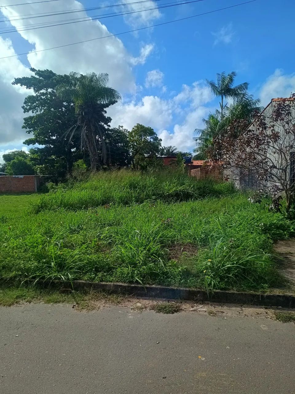 Terreno grande