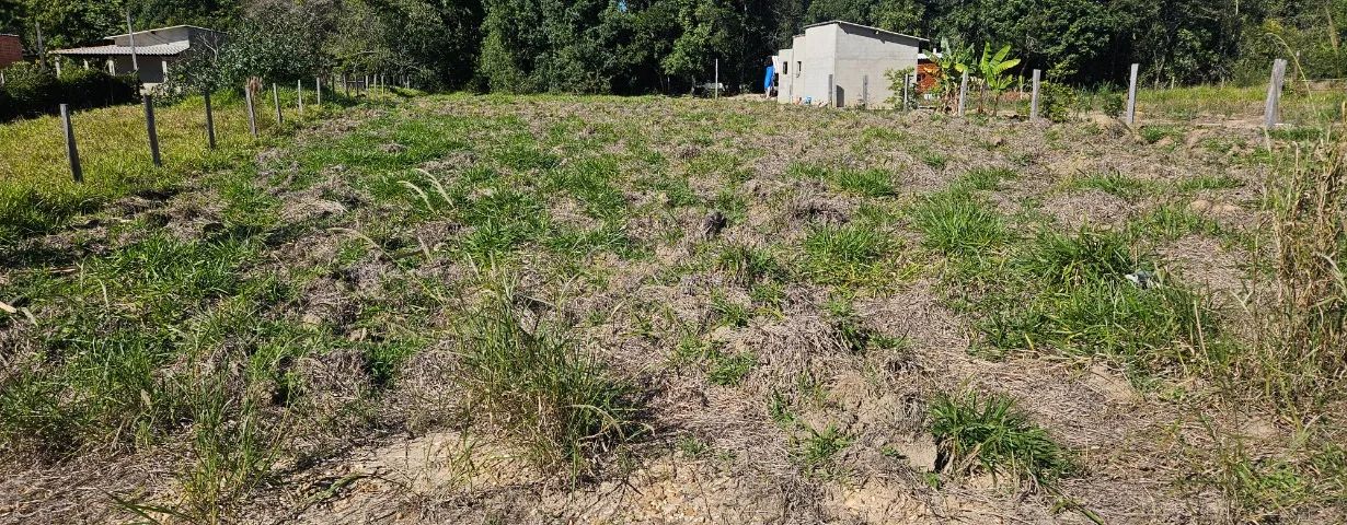 Lote de 1000m - Foto 4