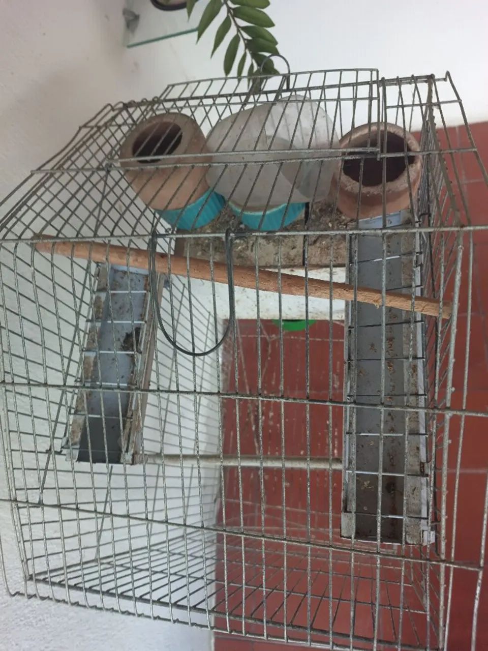 Gaiola de aço com 4 cocheiras de ração , 4 cocheiras de água e biombo de reprodução.