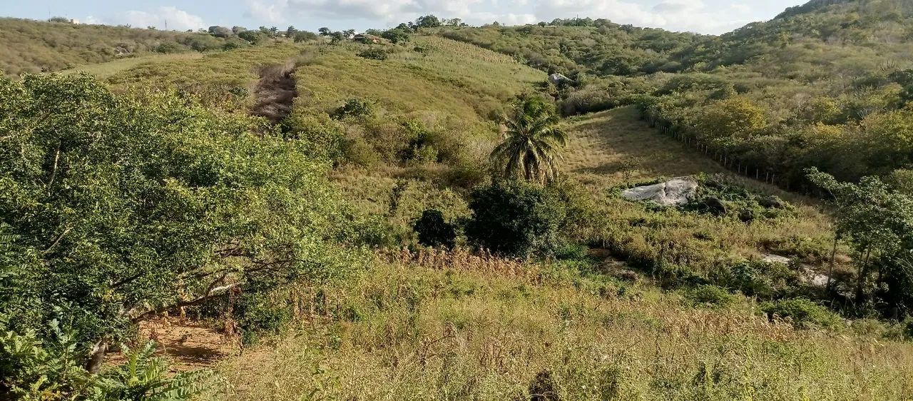 Vende-se terreno próximo à Pedra da Boca - PB - Foto 5