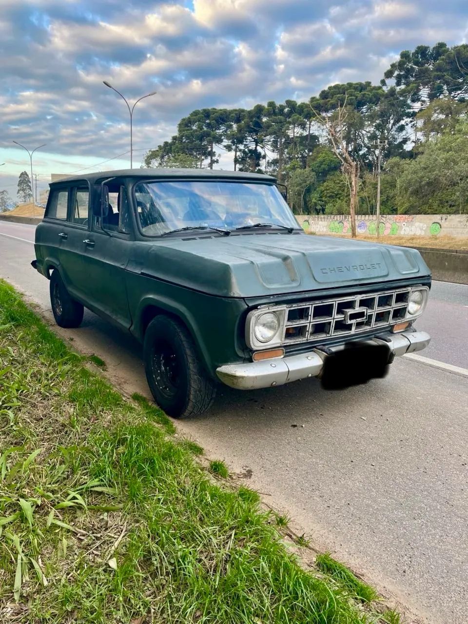 Chevrolet Veraneio S/ Luxe 4.0 Dies./tb Dies. 1965