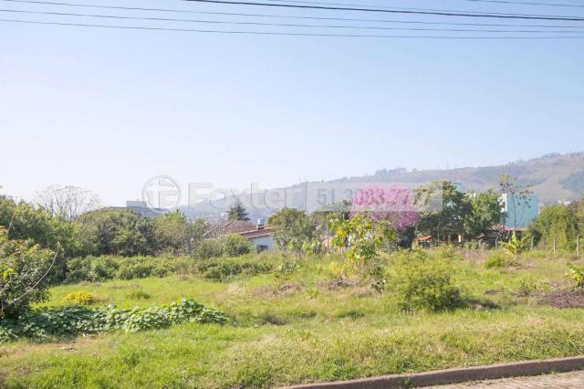 Terreno à venda em Morro santana, Porto alegre cod:112177 - Foto 3