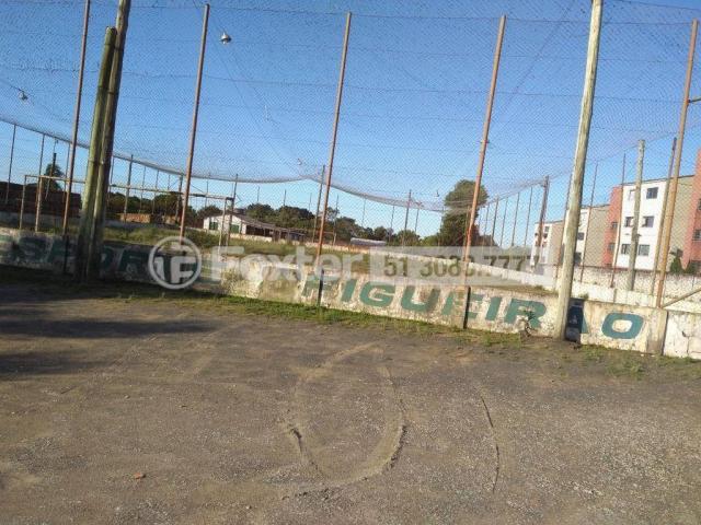 Galpão/depósito/armazém à venda em Maria regina, Alvorada cod:165609 - Foto 12