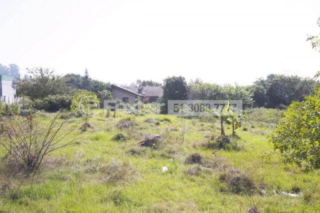 Terreno à venda em Morro santana, Porto alegre cod:112177