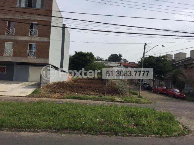 Terreno à venda em Petrópolis, Porto alegre cod:149333