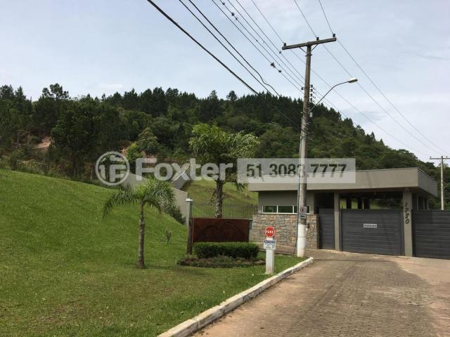 Terreno à venda em Campo novo, Porto alegre cod:164602 - Foto 5