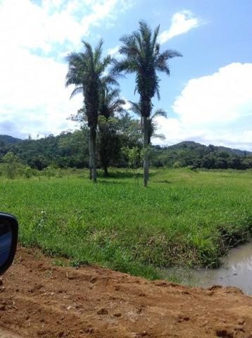 Chácara - Foto 5