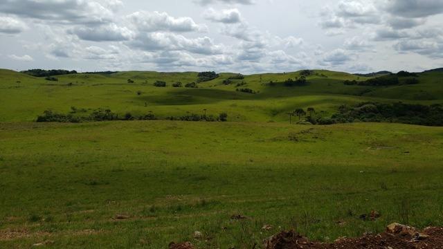 Chácara 3,0 Ha Apanhador