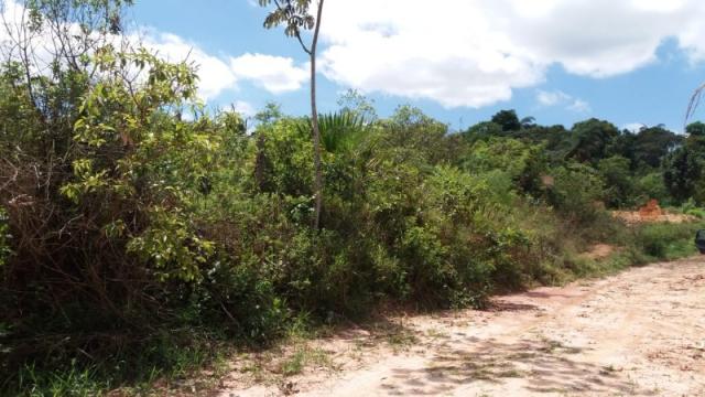 Terreno à venda em Residencial ilhéus, Juatuba cod:TE00019 - Foto 6