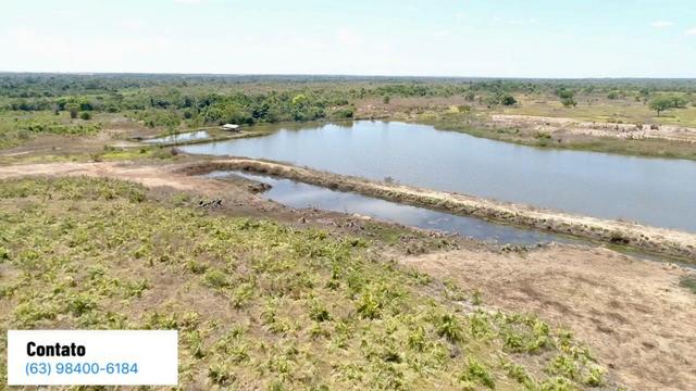 Fazenda no Tocantins - Foto 10