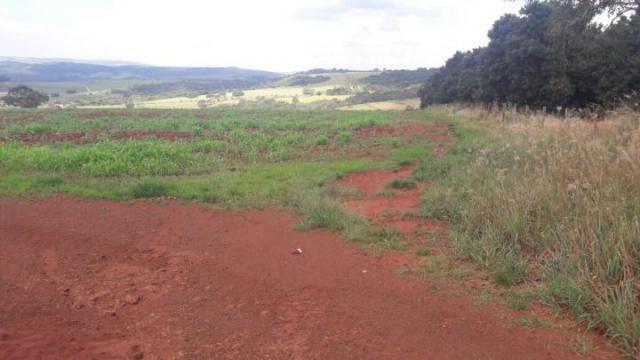Sítio para venda em batatais, rural - Foto 2