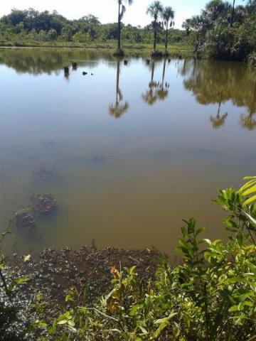 Sítio para venda em batatais, rural - Foto 9