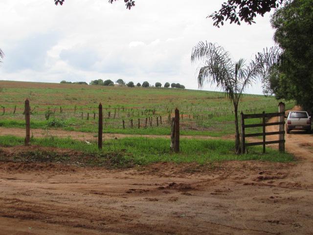 Fazenda para Venda em Alfenas, Rural - Foto 13