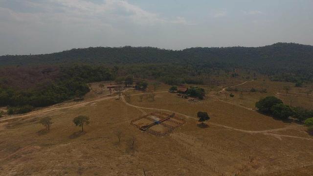 Fazenda região de São Vicente - Foto 6