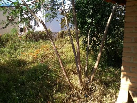 Casa em dois lotes área total de 720,00m² - Foto 6