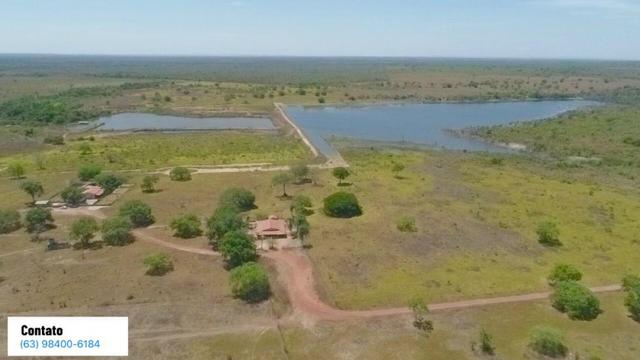 Fazenda no Tocantins - Foto 3