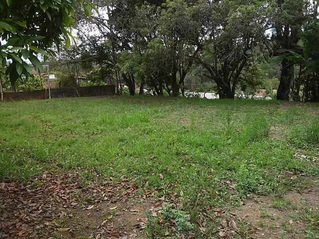 Chacara 3000m² Instancia Bela Vista Vargem Grande - Foto 10