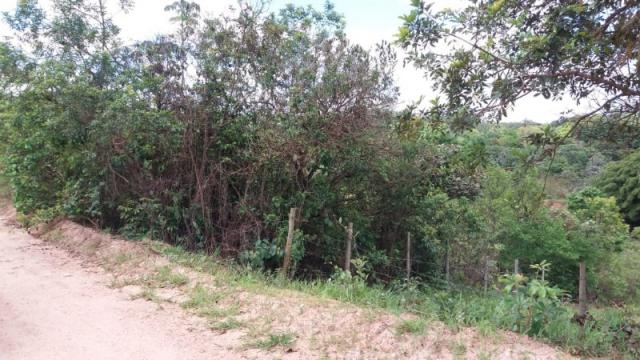 Terreno à venda em Residencial ilhéus, Juatuba cod:TE00019 - Foto 3