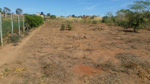 Ágio de Lote - Foto 2