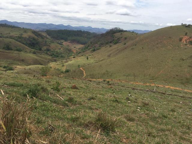 Venda-se está fazenda de 250 alqueires no Município de Fervedouro/MG - Foto 2