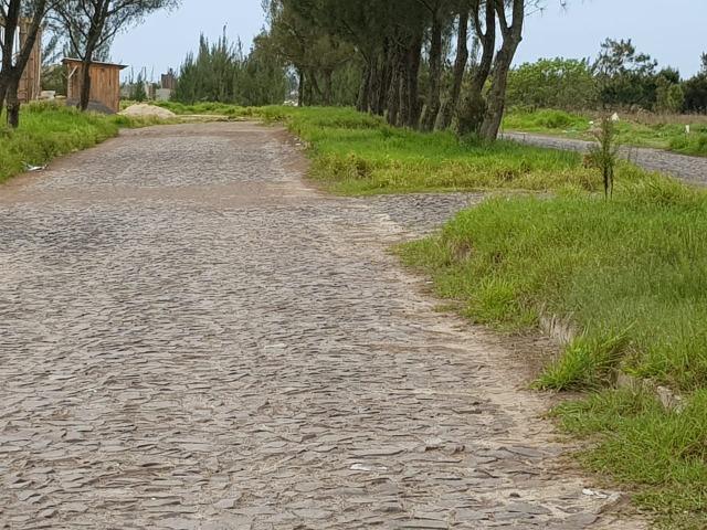 Terreno