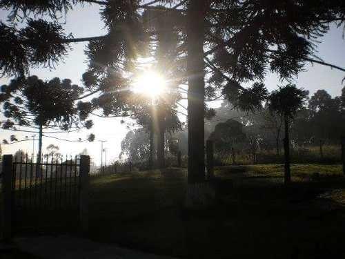 Terreno Rural Sitio /Chácara com 5,5 alqueires (porteira fechada) ótima localização - Foto 2
