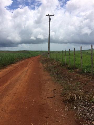 Fazenda-Granja-Sítio com 21 Hectares em Aliança - Foto 14