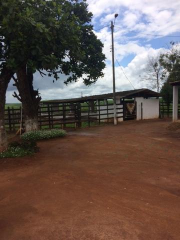 Fazenda-Granja-Sítio com 21 Hectares em Aliança