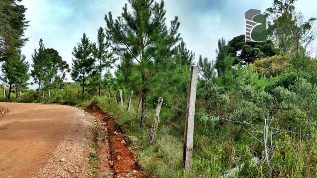 Chácara no curralinho em são josé dos pinhais. - Foto 2