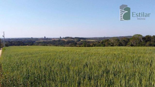 Chácara na faxina, são josé dos pinhais - ar0018.