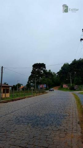 Terreno na colônia murici em são josé dos pinhais. - Foto 15