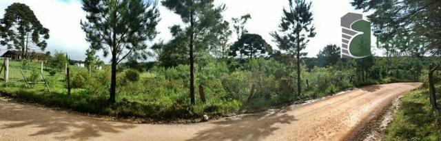 Chácara no curralinho em são josé dos pinhais. - Foto 4